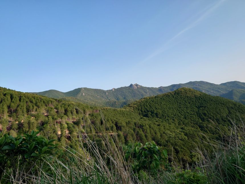 BRM411対馬ヤマネコ200km 展望台から韓国が見える?