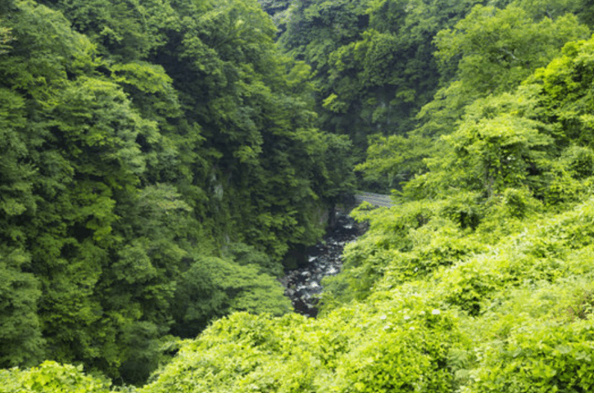 BRM516博多300㎞九酔渓